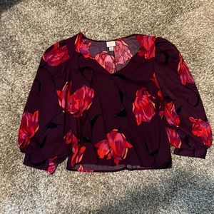 Blouse with globe sleeves